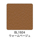 バリエーション画像